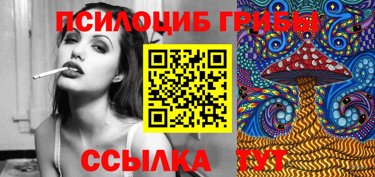 Галлюциногенные грибы Cubensis  Вход с VPN  Богородск 